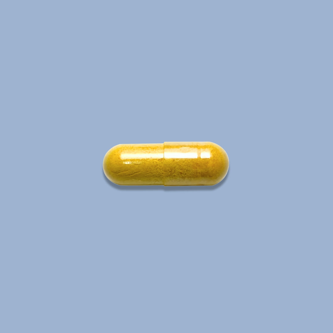 Cúrcuma y curcumina: la raíz dorada antiinflamatoria