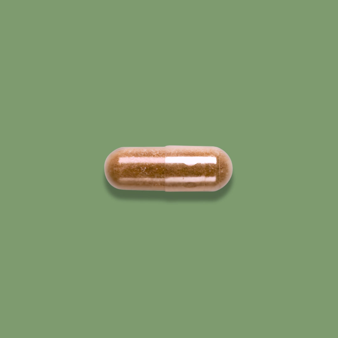 Maca: la raíz andina de la energía y libido